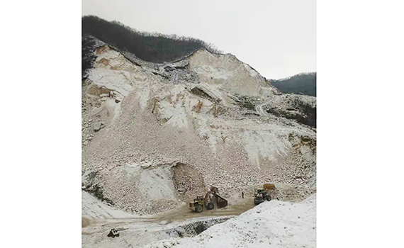 熱烈慶祝鞍山東盛源礦業(yè)有限公司網(wǎng)站正式成立！